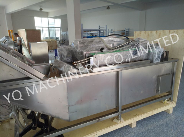 fruit washing machine.jpg