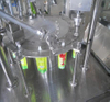Automatic pouch filling and sealing machine