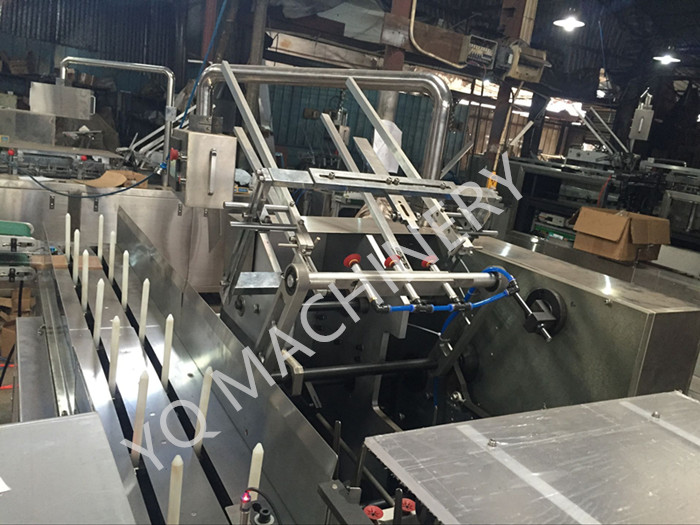 tissue cartoning machine 1.jpg