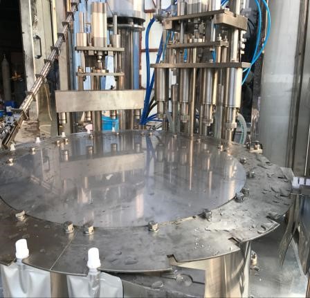 Automatic pouch filling and sealing machine
