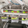 Horizontal Liquid Pouch Filling Machine