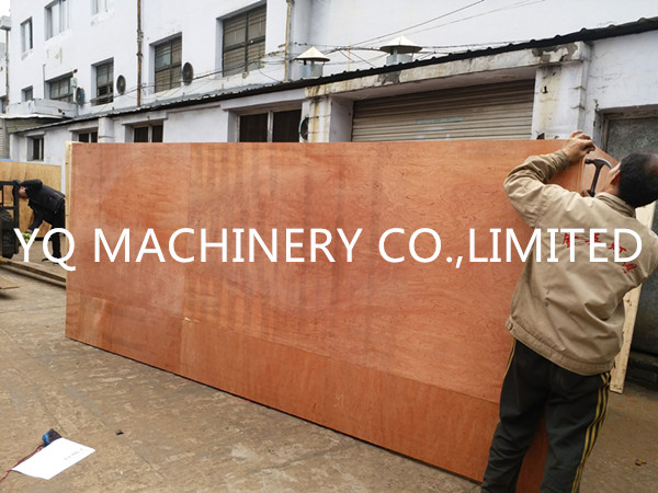 cartoning machine 2_副本.jpg