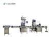 Bottle Feeding Filling Capping Machines for Plastic & Glass Jar Volumetric Piston Filler