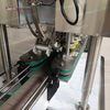 Automatic Cap Torque Machine With Cap Elevator And Sorting System