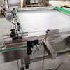 Accumulation Tables Conveyor