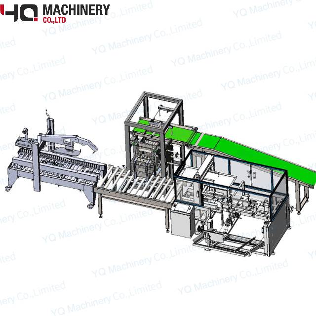 Cartoning packing line 